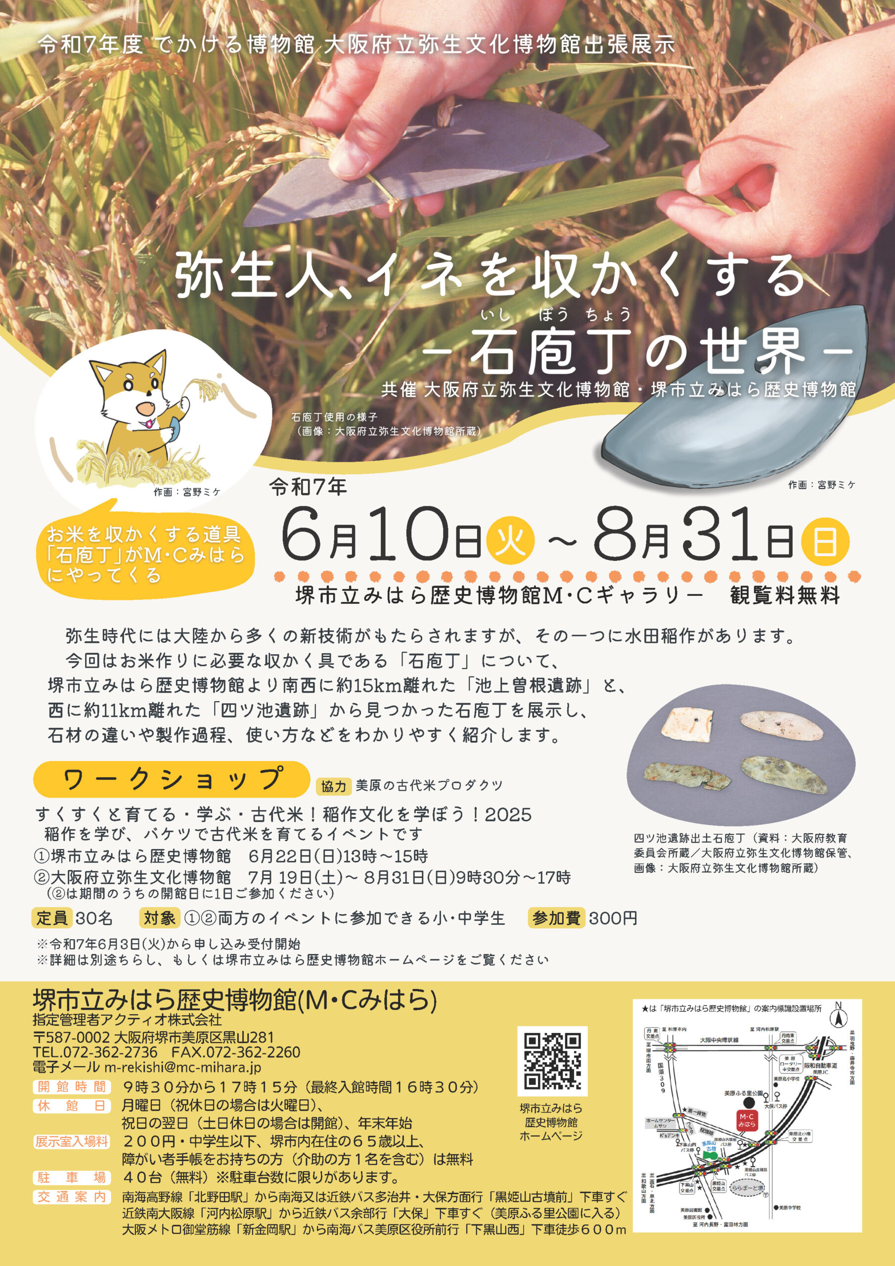 【館外行事】令和７年度でかける博物館「弥生人、イネを収かくする―石庖丁の世界―」